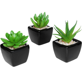 Set Of 3 Modern Home Decor Mini Succulent Artificial Plants With Square Black Ceramic Pots