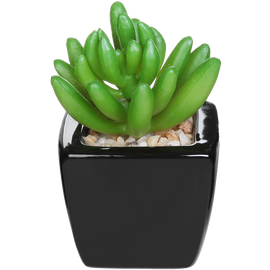 Set Of 3 Modern Home Decor Mini Succulent Artificial Plants With Square Black Ceramic Pots