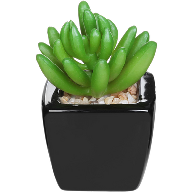 Set Of 3 Modern Home Decor Mini Succulent Artificial Plants With Square Black Ceramic Pots